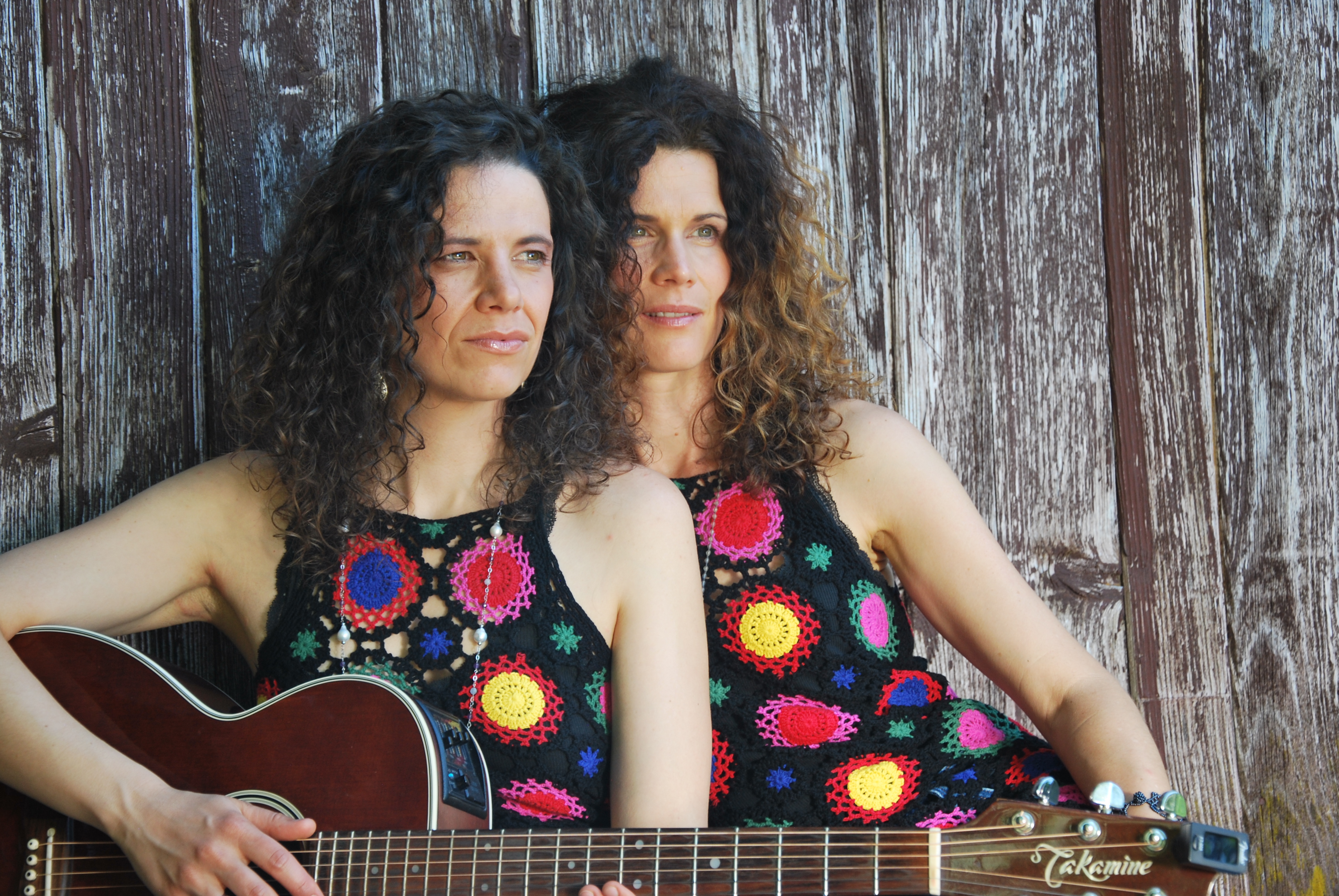 CD's von den Vivid Curls